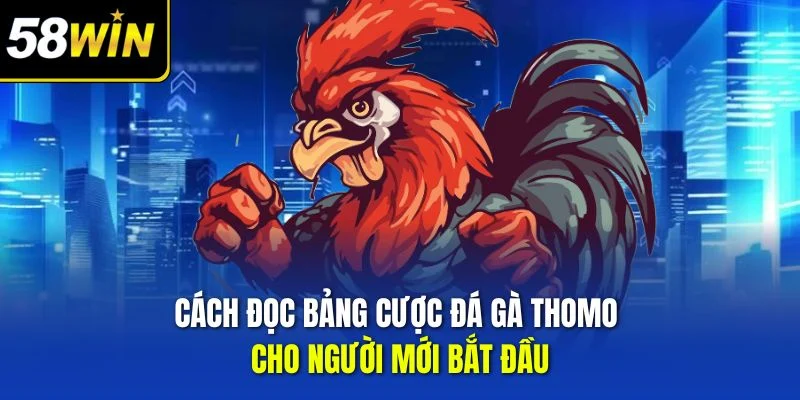 Cách đọc bảng cược đá gà Thomo cho người mới bắt đầu